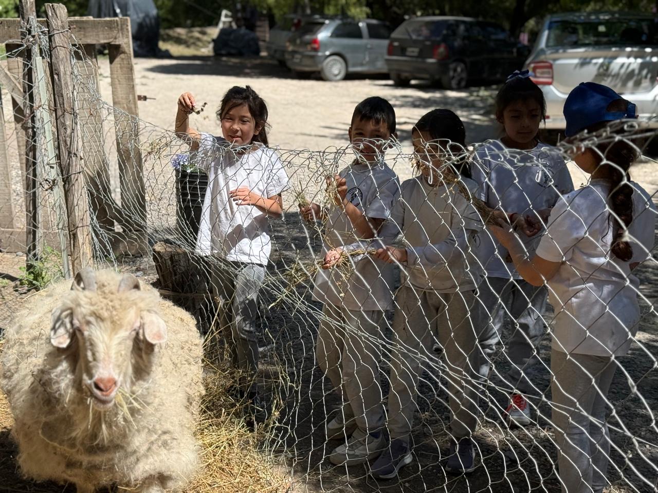 WhatsApp Image 2025 10 29 at 15.22.24 3