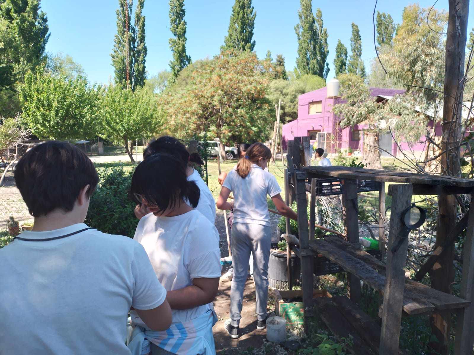 WhatsApp Image 2025 10 30 at 21.32.26 2